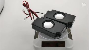BOX31 speaker.mp4