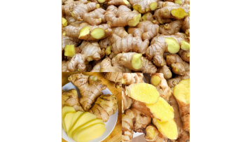 Wash-dry Fresh Ginger