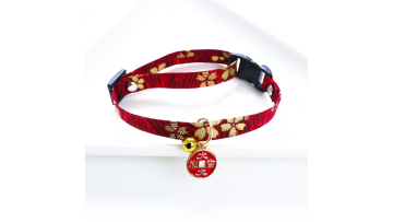 pet collar camera