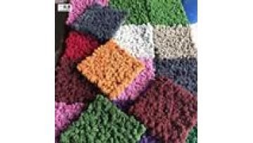 Preserved Moss Panels and Stabilized Flowers for Natural Decor1