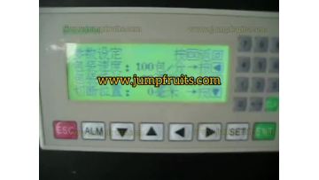 Soft Candy Packaging Machine