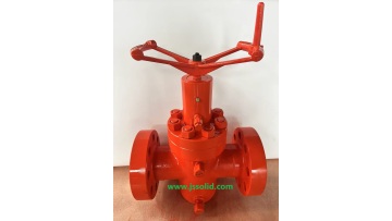 MyVideo_1 wkm valve  