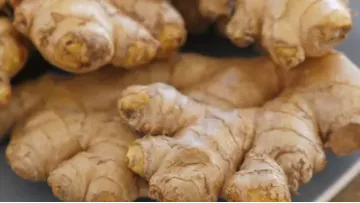 Supply Selected Super Quality Chinese Fresh or Air Dried Ginger1