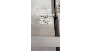Fluorosint500