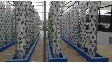 Hydroponics