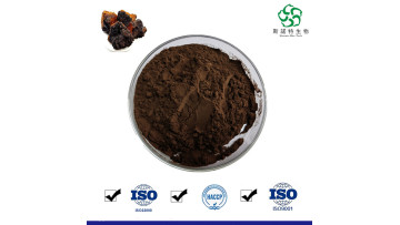 Chaga Mushroom Extract SINUOTE