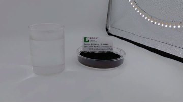 European bilberry is water-soluble