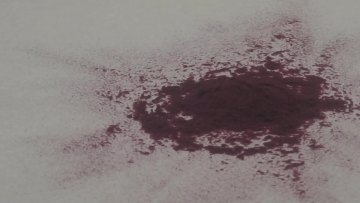 Blueberry Powder