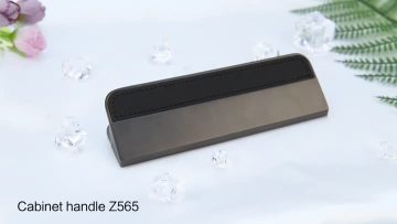 Z565