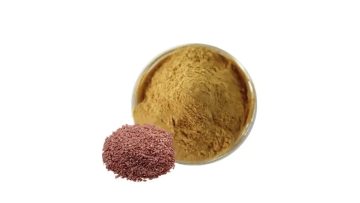 Flax Seed Extract Powder