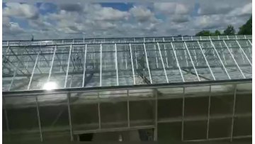 Chinese Style Greenhouse Tomato Seedlings Flowers Lefty Vegetables Hydroponics System Price1