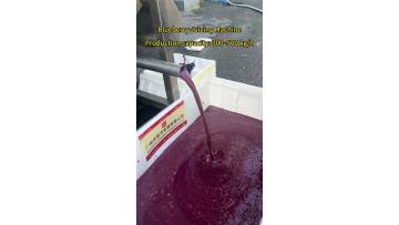 Blueberry Juicing Machine