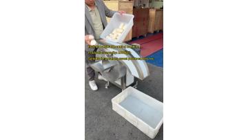 Fruit and Vegetable Strip Cutting Machine