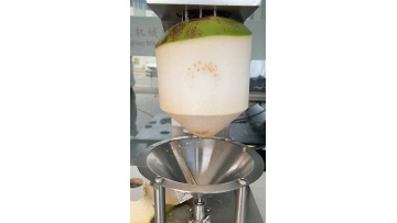 ST-Green Coconut Peeling machine