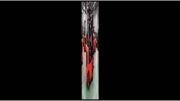 CPCD20J（wings）.mp4