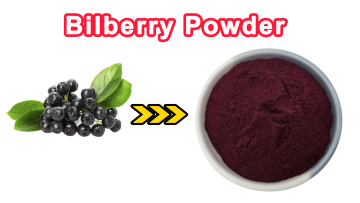 Bilberry Powder