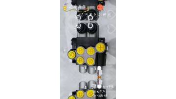 Hydraulic Directional Control Valve Hydraulic Multi-Way Valve
