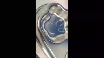 Stainless Steel Dog Bowl
