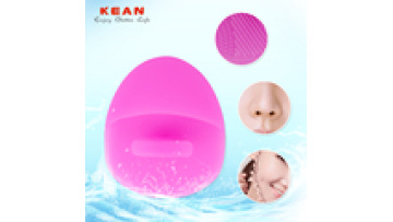 Hot Selling Beauty Face Brush Set Facial Cleansing Brush Silicone Face Scrubber1