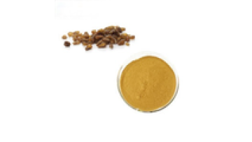 High quality buckwheat extract1