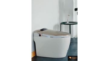 High-Tech Automatic Closestool Intelligent Water Closet Floor Mounted Smart Toilet