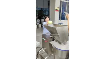 Fruit and vegetable shredding machine 
