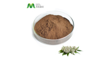 100% EU Organic Valerian Extract Powder1