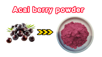 Acai Berry Powder