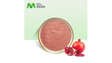 Chinese Supplier Certified Organic Pomegranate Powder1
