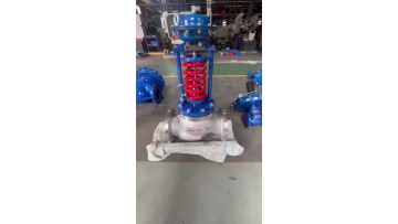 Balanced Bellows Pressure Regulating Valve – Bellows Inspection and Replacement