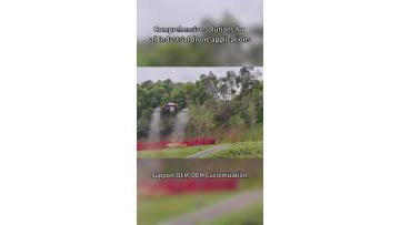 f15b3bf2824ce993a584a423c78a5e5c