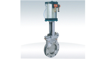 Iron Dragon Valve