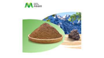 Quality Wholesale Natural Shilajit Extract Powder 20% Fulvic Acid Shilajit Powder Bulk1