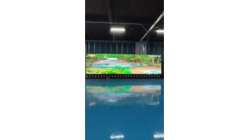 Anti Moire pattern COB LED display wall