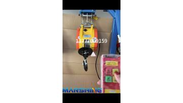 1600W Portable Small Hoist Cable Winch