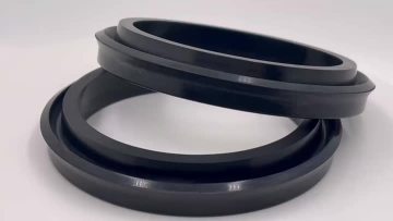 Piston Seals C2