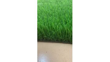 landscape grass0601