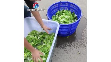 TS-T22 Commercial Centrifugal Vegetable Dehydrator for Food Processing