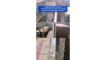 Video 1