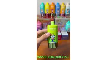 WASPE 100K Puff Disposable Vape