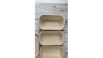 sugarcane bagasse container tray