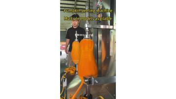 Pumpkin peeling machine vegetable peeler
