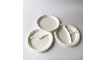 bagasse plates