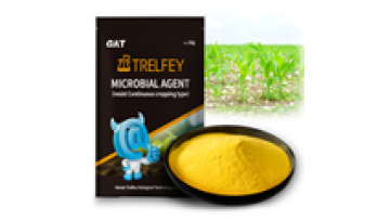 High Activity Plant Hormones for Rapid Growth and Preventing Rotten Seedlings1