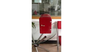 Peltier Thermoelectric Mini 4L Portable Car Freezer1