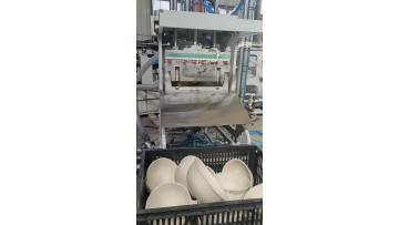 molded fiber tableware machine 