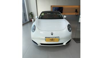 Streamlined ORA Lightning Cat