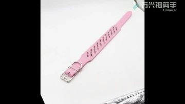 diamond studded dog collar