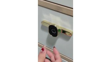 F118 Cabinet fingerprint lock