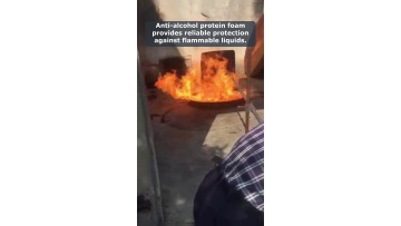 Video 40